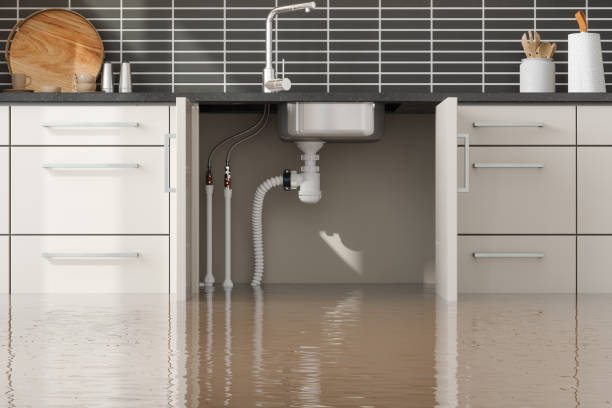 Best Flood restoration services  in Rector, AR