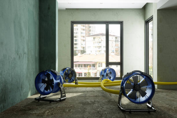 Best Carpet water damage restoration  in Rector, AR